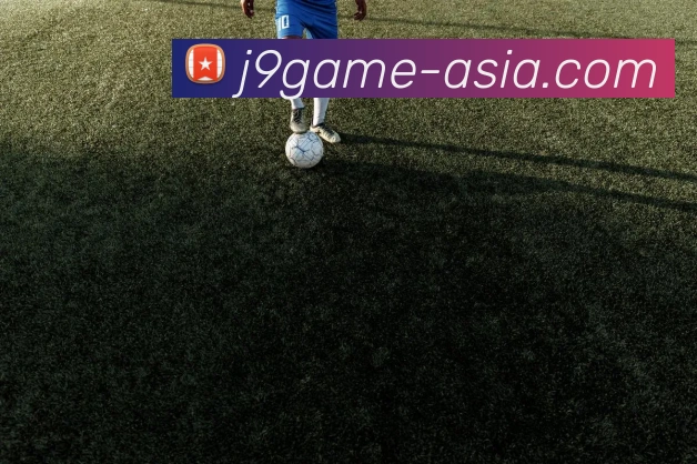 奖项证书